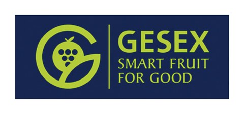 Gesex