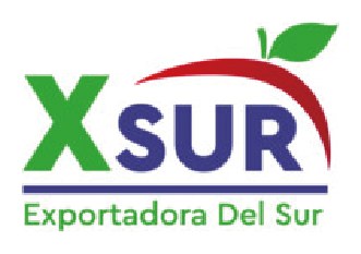 XSur