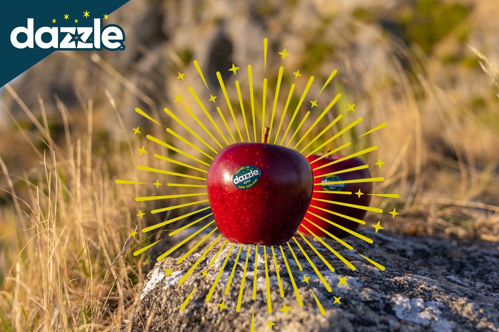 Dazzle™